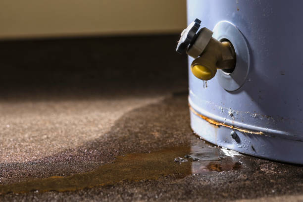 Best Fire Damage Restoration  in Mitchell, SD