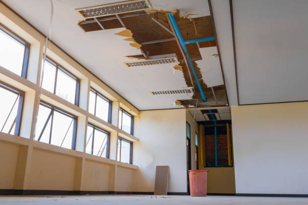 Best Flood restoration services  in Mitchell, SD
