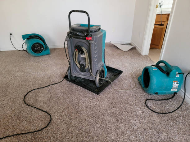 Best Sewage cleanup and water damage restoration  in Mitchell, SD