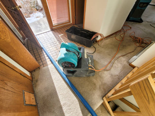 Best Flooded house restoration  in Mitchell, SD