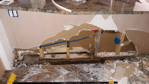 Best Carpet water damage restoration  in Mitchell, SD