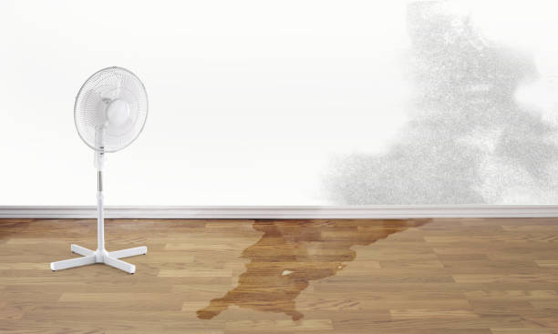 Best Mold removal after water damage  in Mitchell, SD