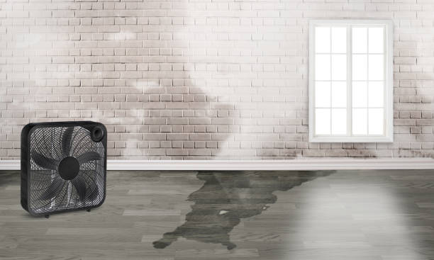 Best Flood restoration services  in Mitchell, SD