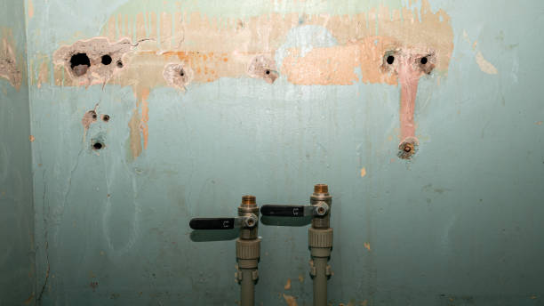 Best Flood damage cleanup  in Mitchell, SD