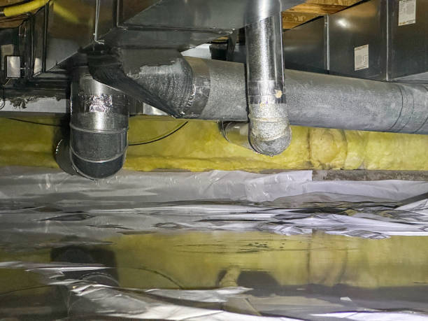 Water damage restoration mold remediation in SD