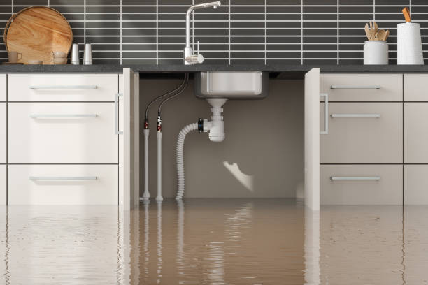 Best Water damage restoration company  in Mitchell, SD
