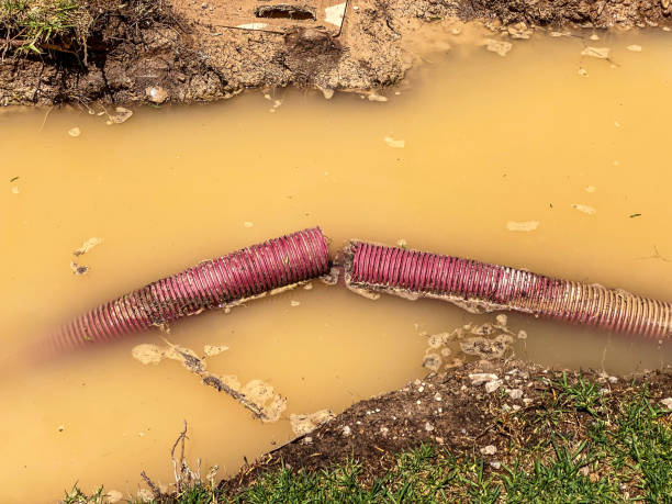 Best Professional water damage repair  in Mitchell, SD