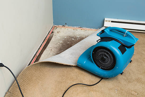 Best Water damage contractors near me  in Mitchell, SD